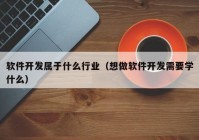 软件开发属于什么行业（想做软件开发需要学什么）