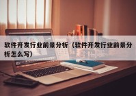 软件开发行业前景分析（软件开发行业前景分析怎么写）