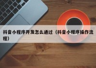 抖音小程序开发怎么通过（抖音小程序操作流程）