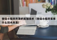 微信小程序开发的关键技术（微信小程序采用什么技术开发）